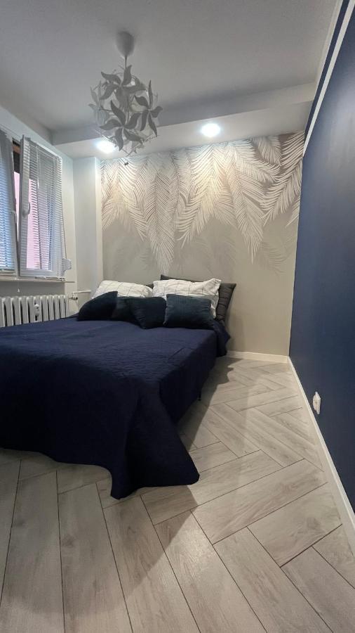 شقة Apartament Panewnicka كاتوفيتسه المظهر الخارجي الصورة